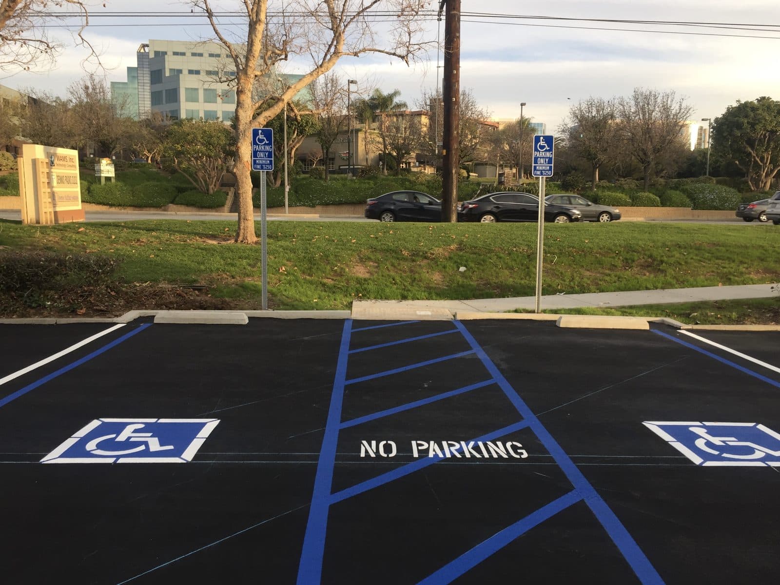ADA stalls with blue access aisles
